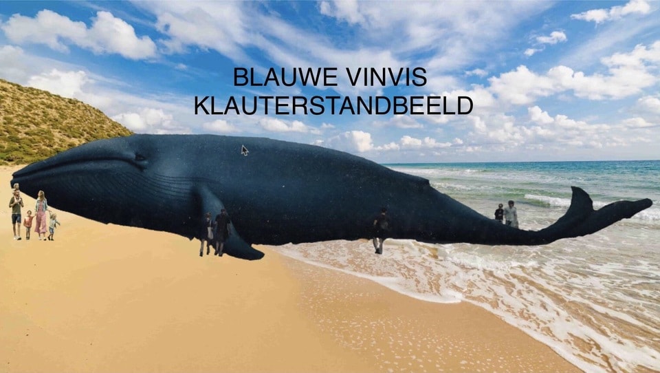 BLAUWE VINVIS KLAUTERSTANDBEELD