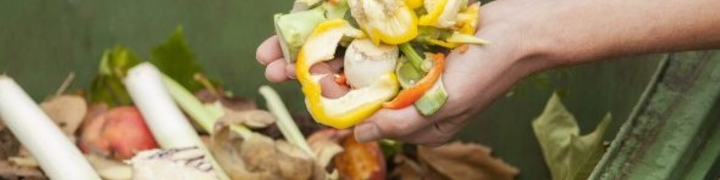 Groente, fruit, tuinafval en etensresten in groene bak